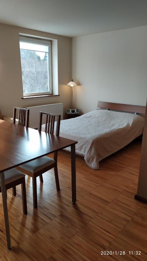Zawoja1560 Apartamenty Przy Aptece Exteriör bild
